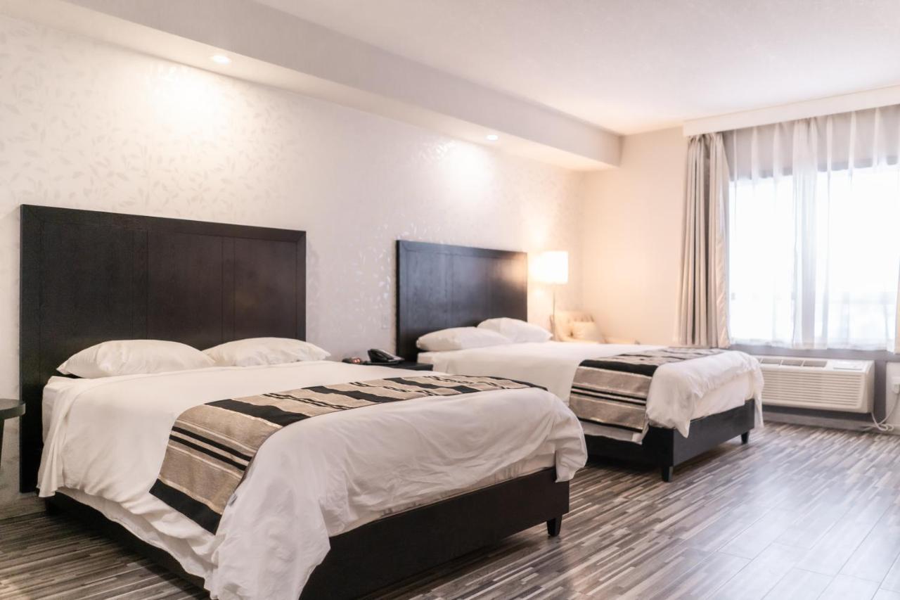 Stars Inn Leduc Εξωτερικό φωτογραφία